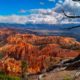 Voyage-organise-USA-Utah-Bryce-Canyon-vue-panoramique-arbre-mort-Voyages-Del-Tour