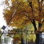 voyage-scolaire-auschwitz-6