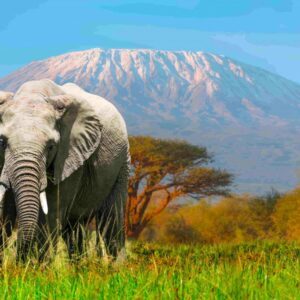 Kenya