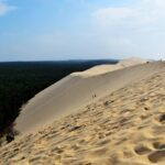 juliacasado1-dune-890214_1280